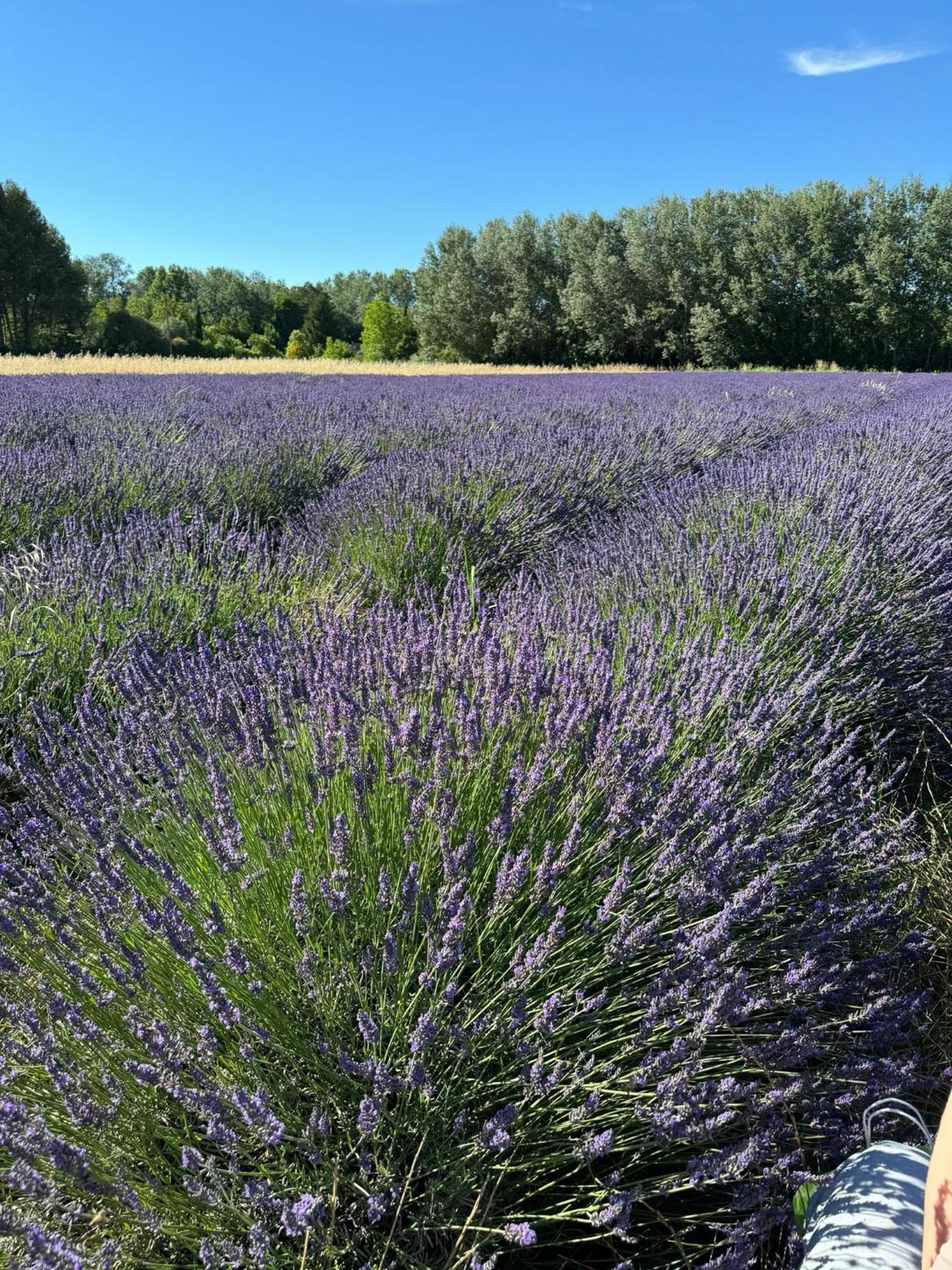 Appartement Neuf Et Au Calme Proche Avignon Althen-des-Paluds Εξωτερικό φωτογραφία